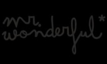 MR.WONDERFUL